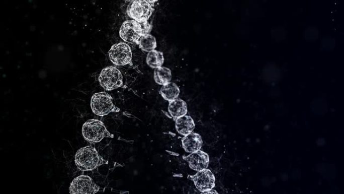 4 k DNA背景