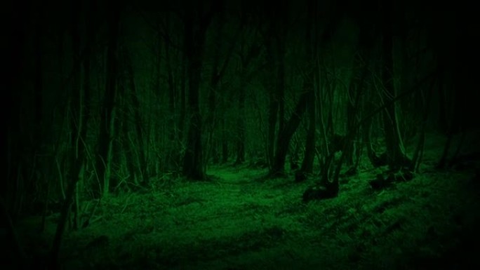 POV怪物在夜间穿过树林