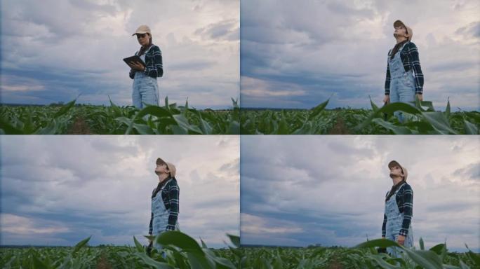 棕色长发的农夫妇女站在农业玉米田上，抬头看天气，记下植物的生长过程