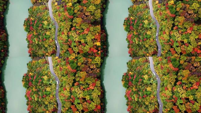 日本河流附近秋季森林变色道路的空中俯视图，旅行概念