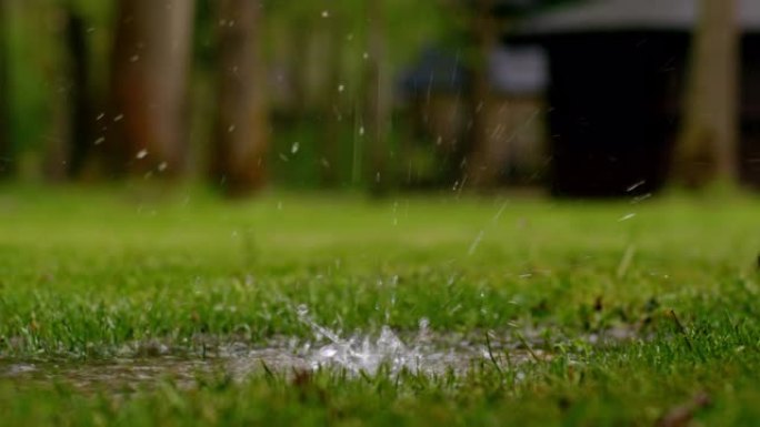 雨水滴落在一个地方的特写慢动作镜头，在绿草丛中形成水坑