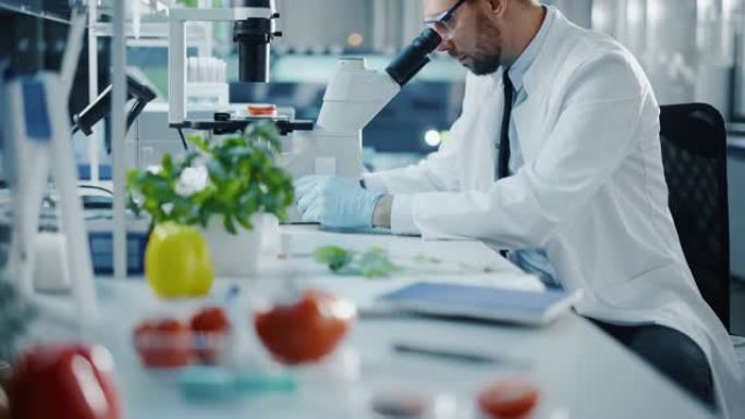 穿着安全眼镜的英俊男性科学家通过先进的显微镜分析实验室种植的番茄。微生物学家使用技术设备在现代实验室