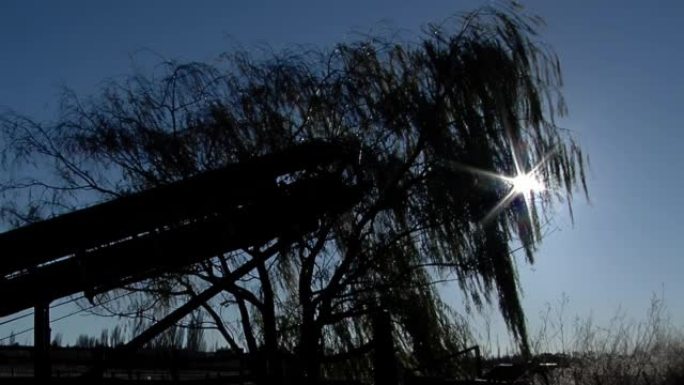 阿根廷巴塔哥尼亚丘布特省盖曼的田野里阳光普照。