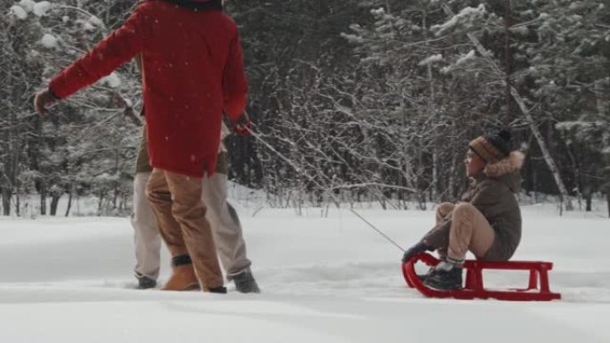 父母和儿子在雪橇上