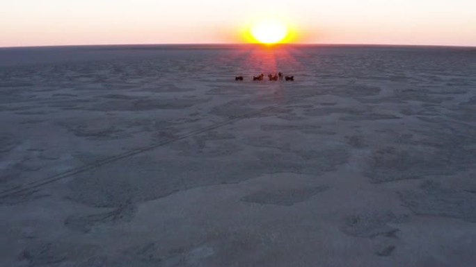 在博茨瓦纳日落时，在壮观的Makgadikgadi平底锅的广阔空间中，剪影空中飞越游客，享受骑四轮摩