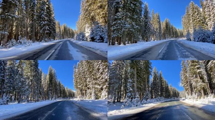 在雄伟的雪域乡村道路上行驶，穿过白色的冬季森林