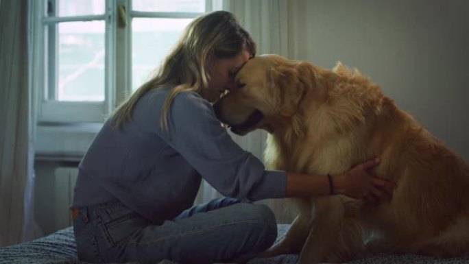 美丽年轻女子的肖像在家里拥抱她可爱的金毛猎犬。女孩和她的狗玩耍，最好的朋友。她抚摸和抓挠与主人的超级