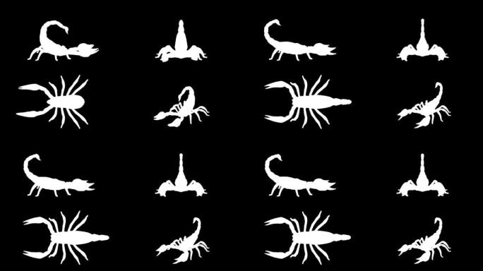 黑色背景上的攻击蝎子剪影。动物，野生动物，游戏，返校的概念，3d动画，短视频，电影，卡通，有机，色键