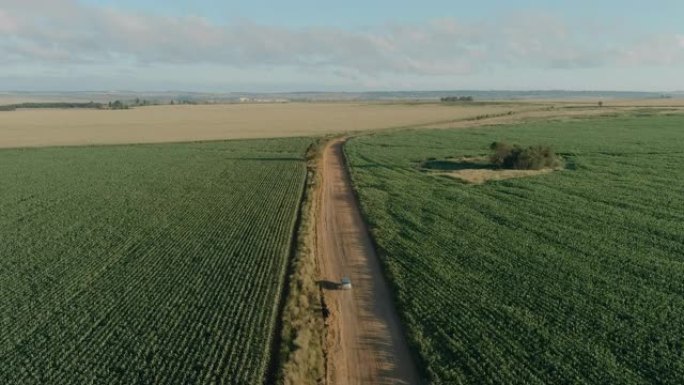 在玉米作物之间的乡村道路上行驶的汽车的风景鸟瞰图