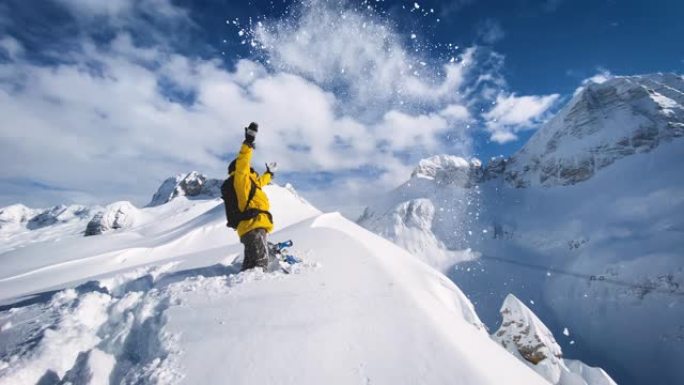 充满欢乐的滑雪者在阳光明媚的冬日站在雪山顶上