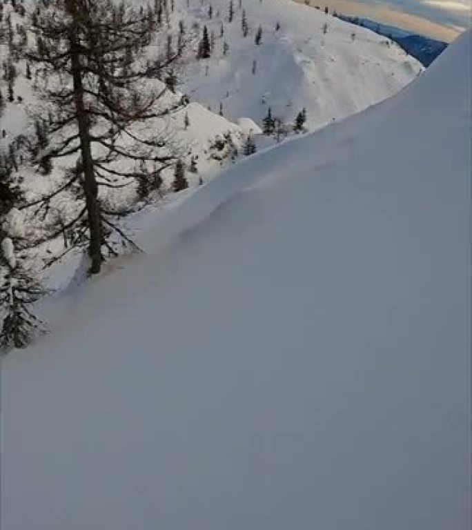 垂直视频POV拍摄自由式滑雪板在白雪覆盖的山丘上的树木之间雕刻