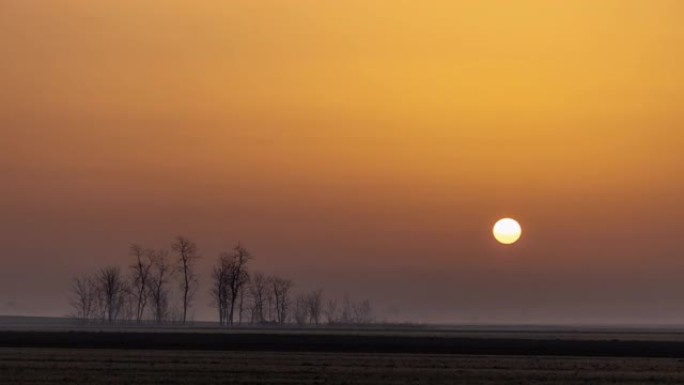 T/L太阳升起在雾气覆盖的乡村