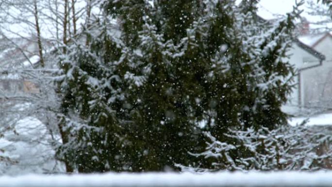 慢动作时间扭曲: 精致的白色雪花覆盖着田园诗般的后院。