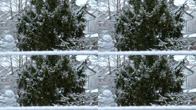 慢动作时间扭曲: 精致的白色雪花覆盖着田园诗般的后院。