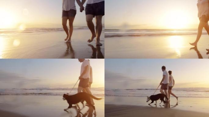 4k视频片段，一对夫妇在日落时与他的狗在海滩上散步
