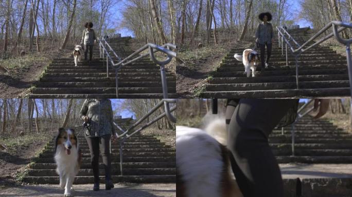 非洲妇女和她的宠物牧羊犬在公园里走下台阶