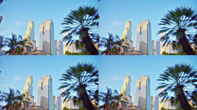 洛杉矶市中心的商业。棕榈树和金融大厦