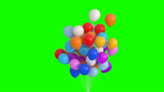 一捆气球在绿色屏幕上飞起来