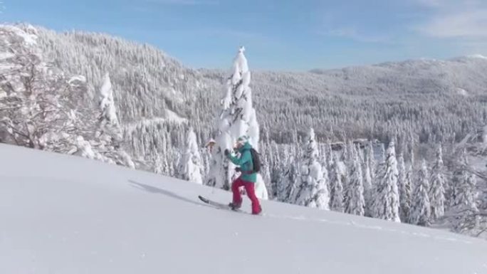 活跃的女性游客在朱利安·阿尔卑斯山 (Julian Alps) 进行滑雪旅行，爬上覆盖有粉末的山丘。