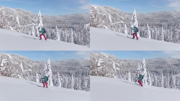 活跃的女性游客在朱利安·阿尔卑斯山 (Julian Alps) 进行滑雪旅行，爬上覆盖有粉末的山丘。