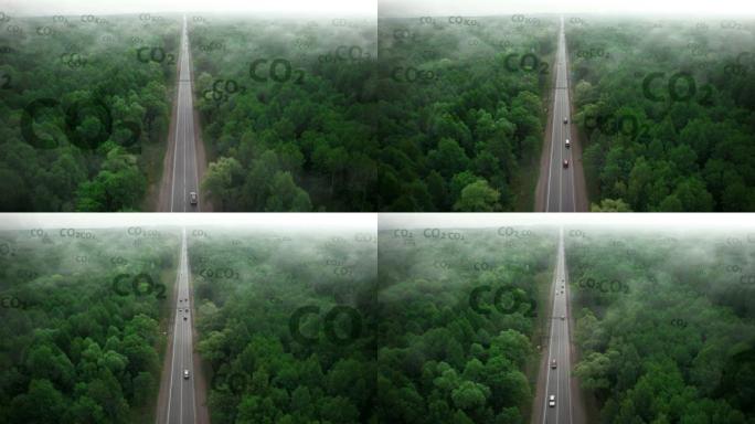 无碳概念。森林保护世界免受二氧化碳污染排放。碳烟中森林里的一条孤独的路。