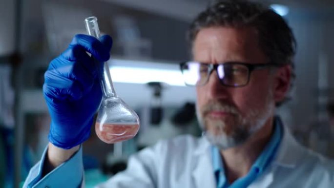 成熟的科学家在小瓶中检查细胞生长的肉