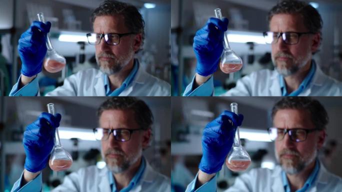 成熟的科学家在小瓶中检查细胞生长的肉