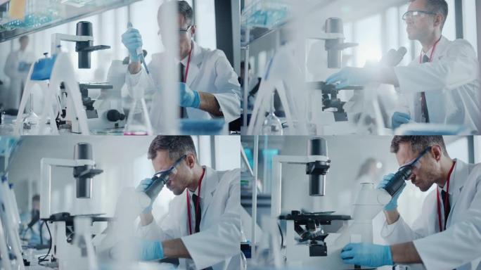 医学发展实验室: 科学家使用微量移液器滴管混合培养皿测试样品。高级制药实验室从事医学，生物技术，疫苗
