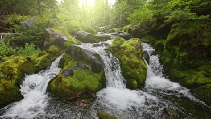 森林中的山河，瀑布层叠。覆盖着苔藓的石头之间的强大水流。清澈的饮用水。万向节射击，慢动作