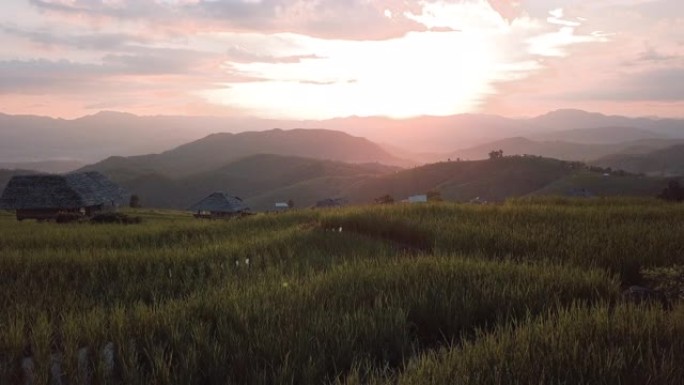 日出时飞越麦田