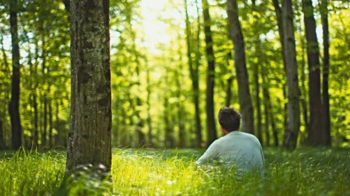 SLO MO Man坐在绿林中随风摇曳的草叶中