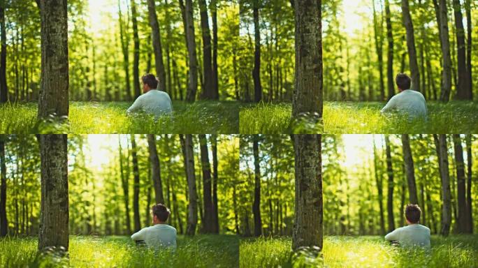 SLO MO Man坐在绿林中随风摇曳的草叶中
