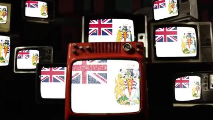 老式电视上的英属南极领地国旗。