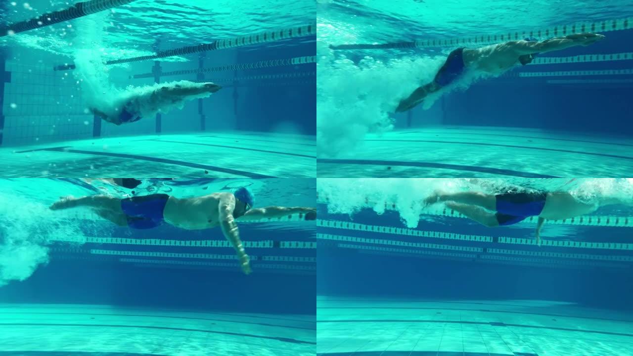 水下射击: 适合肌肉发达的游泳者在游泳池里跑圈。英俊的职业运动员以极快的速度游泳。准备创造世界冠军纪