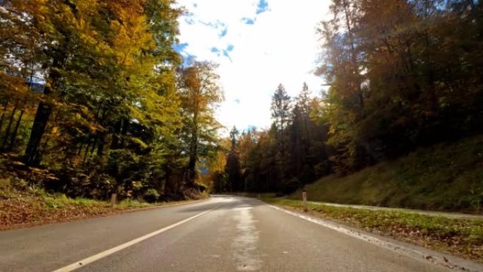 在风景秀丽的道路上行驶，穿过秋天的森林，阳光照耀着五颜六色的树叶