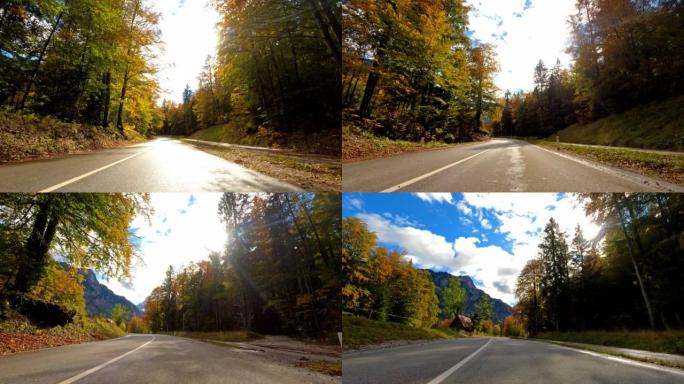 在风景秀丽的道路上行驶，穿过秋天的森林，阳光照耀着五颜六色的树叶