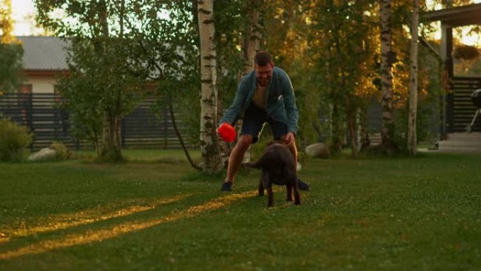 英俊的男人在后院的草坪上与快乐的棕色拉布拉多猎犬狗玩耍。男人在避暑别墅后院与忠诚的诺贝尔血统狗在户外