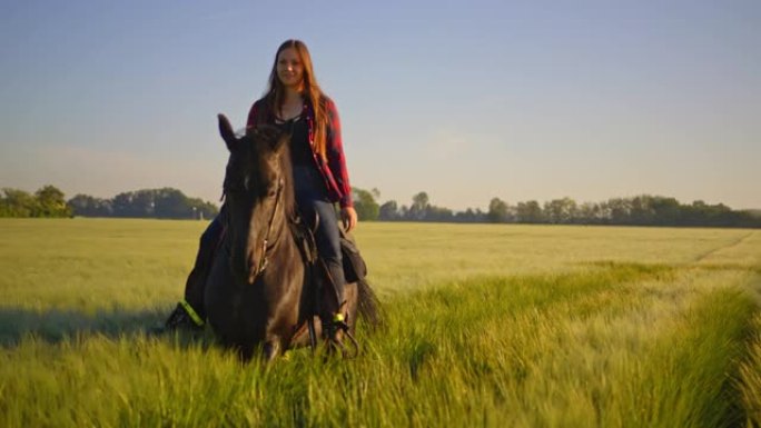 女人骑着她的马在绿色的麦田里