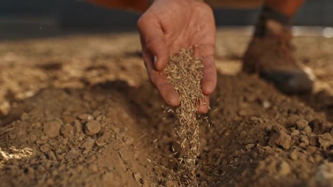 时间扭曲SLO MO Farmer的手在土壤上传播种子