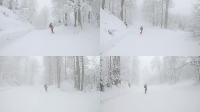 自由滑雪者沿着经过修饰的小径骑行，穿过雾蒙蒙的森林。