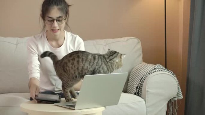 年轻漂亮的眼镜亚洲女人坐在沙发上。一只可爱的猫打断她在家工作或在沙发上的笔记本电脑上在线学习。穿着便