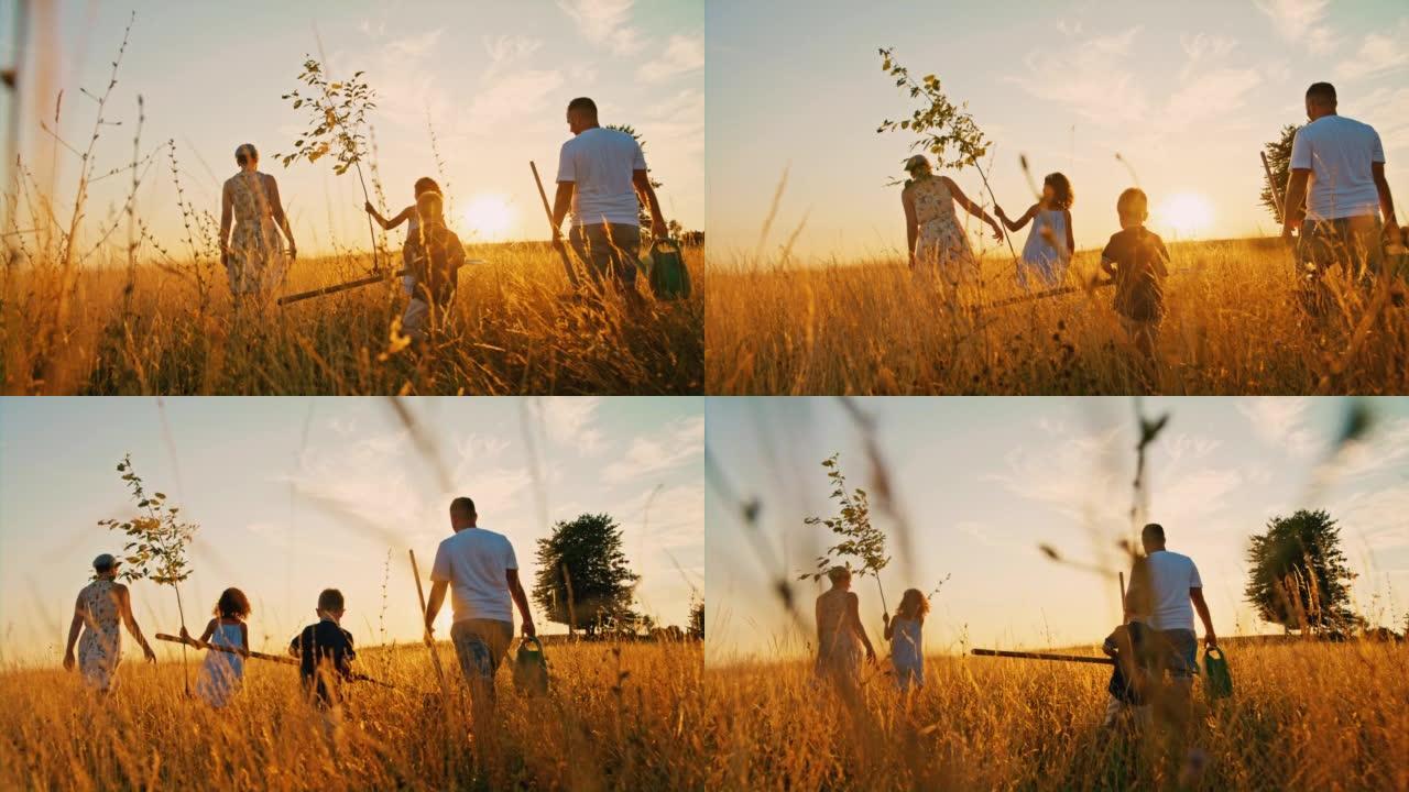 有两个孩子的SLO MO父母在黄金时段在草地上背着一棵小树