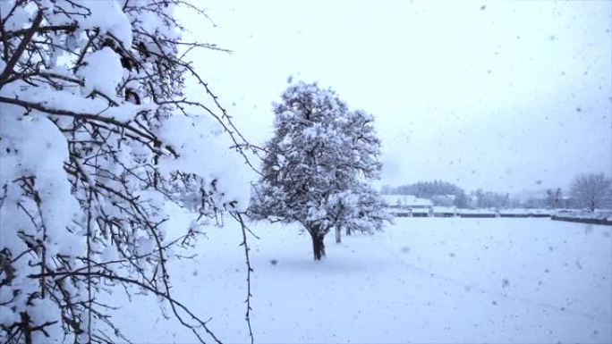 寒冷冰冻的冬季气候季节降雪