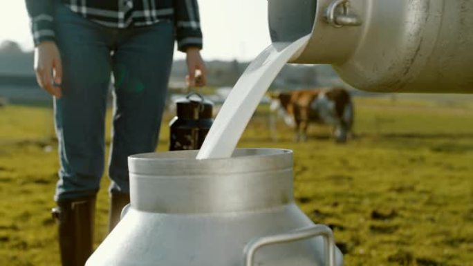 超级SLO MO从当地农民那里购买牛奶