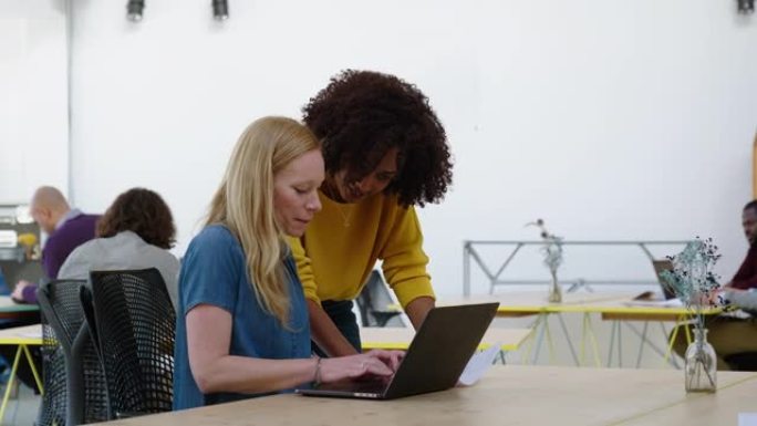 女商人与在办公桌上使用笔记本电脑的同事讨论文档