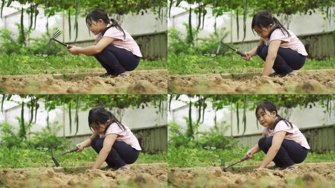 一个亚洲中国年轻女孩在有机农场温室里学习农业的乐趣