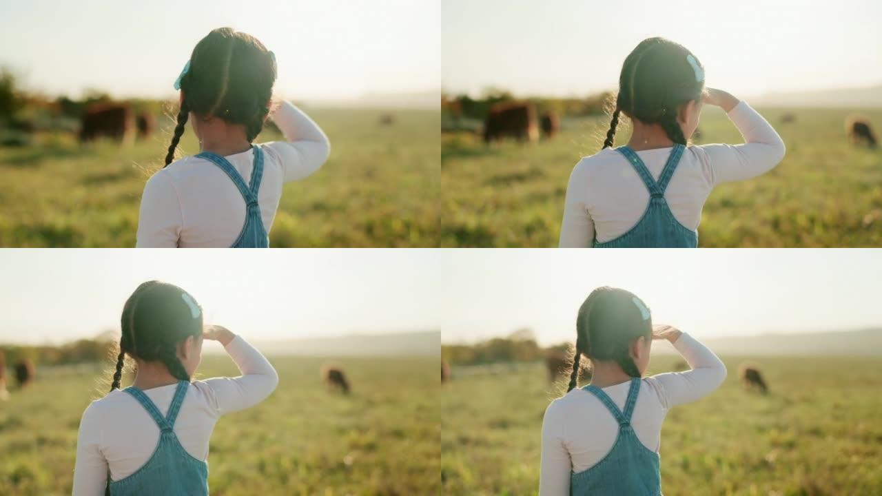 在夏季，阳光和户外，为牛，牛群或牛提供农民，儿童和牧场。阿根廷的年轻，女孩和牛，公牛和动物在田间吃草