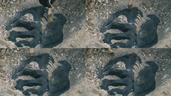 无法识别的考古学家发现恐龙头骨
