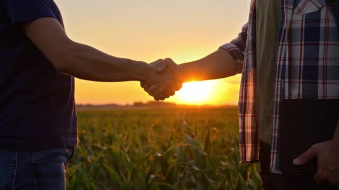 日落时分，两个农民在玉米地里握手