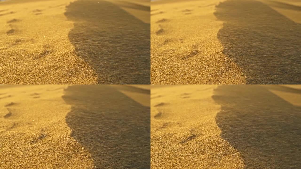 沙漠沙丘的大风天气。无数沙粒在强风中快速飘扬。慢动作镜头